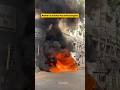 One More Fire Accident #amdavad #fireaccident #latestnews #currentaffairs #news #youtubeshorts