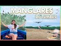 MANGLARES DE TUMBES: Súper Tour Barato,Una experiencia Inolvidable 🤩|Daniela Mucha