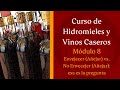 AÑEJAR (o no) mi VINO CASERO - MÓDULO 8