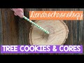 Dendrochronology Quiz