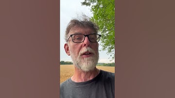 What did Stravinsky think of Beethoven