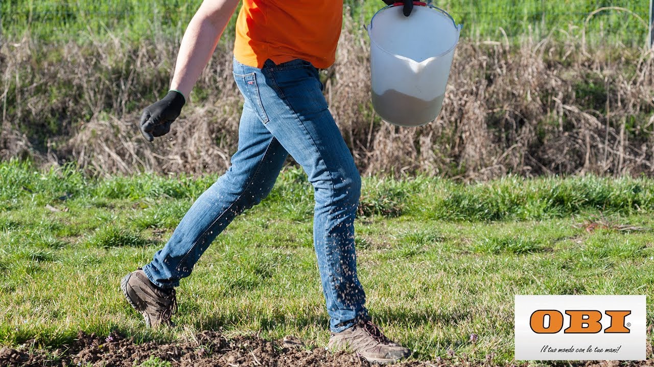 Come realizzare il prato: dal terreno alla semina youtube Preparazione terreno per semina prato