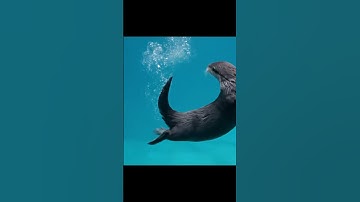 Otter’s Epic Dive Into Ocean | AI-Generated Splash Adventure