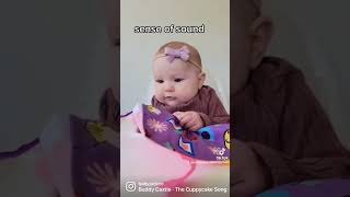 Learning Lovey Sensory Toy