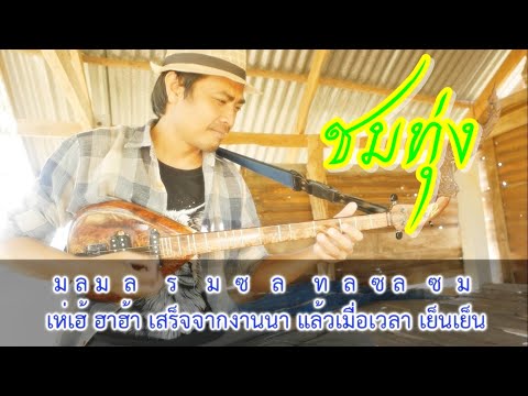 บรรเลงพิณพร้อมโน้ตเพลง - ชมทุ่ง / สายแนนสตูดิโอ