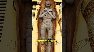 Gli Animali Mummia Dellantico Egitto Credits .