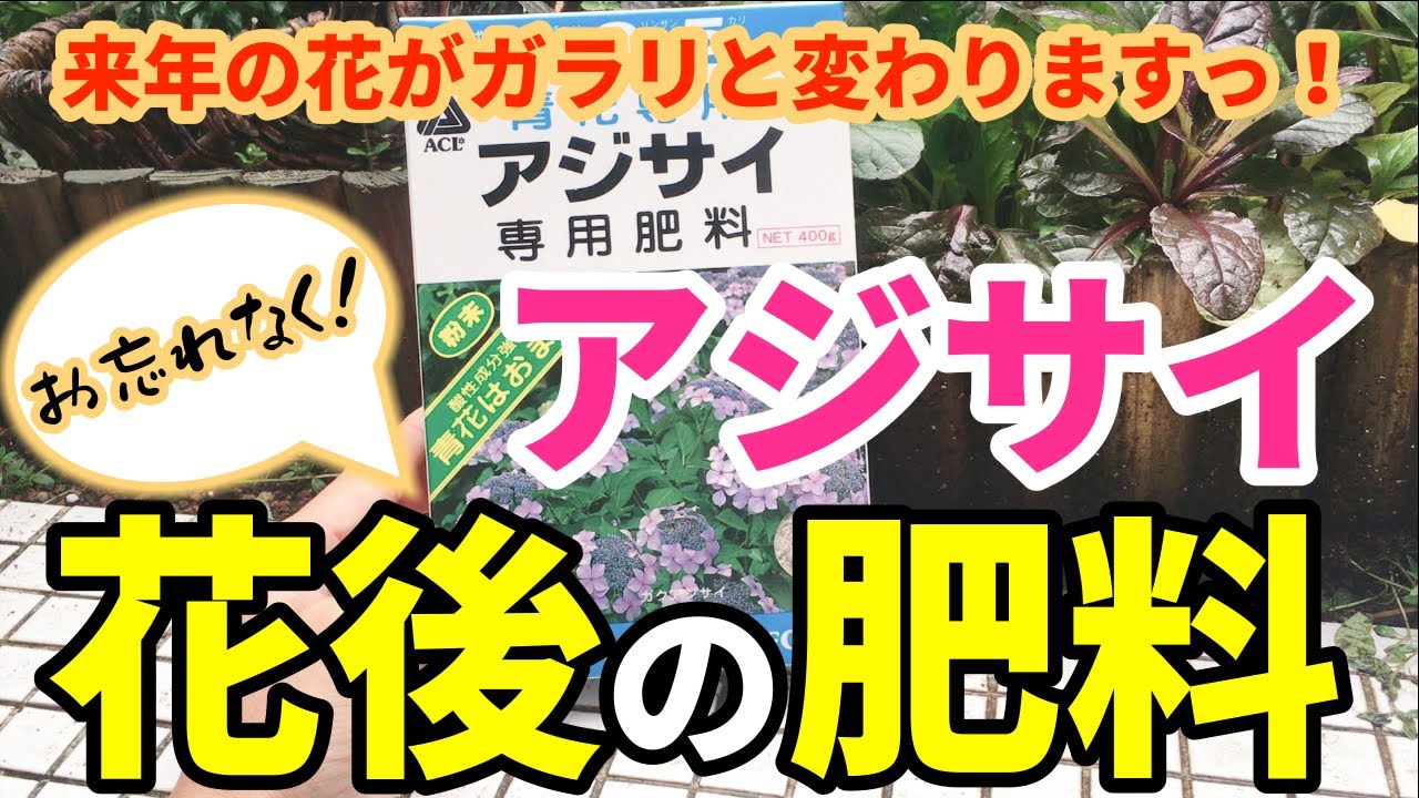 ダイソー セリア これで100円 本当に使えるガーデニンググッズ 17選 初心者さん必見です ガーデニング Youtube