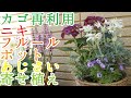 【10分寄せ植え】ニキフルールのポットあじさいで　バスケット寄せ植え　6号サイズ　ギフト用のカゴを再利用！