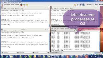 Simplified DBA-013-User Session and Background PROCESS