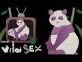 Could Porn Save The Dwindling Panda Population