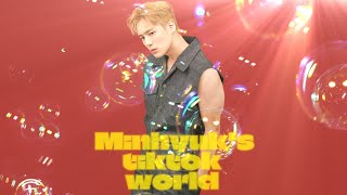 Minhyuk Monstax Tiktok Edits