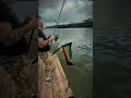 #carpfishing #carp #fishing #fish