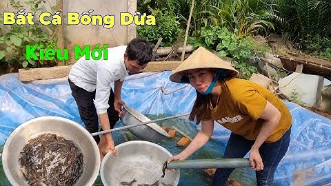 Bắt Cá Bống Dừa Không Cần Lợp Chỉ Cần Ống Nhựa Độc Lạ mà Trúng lớn | ÚT DIỄM BA TRI