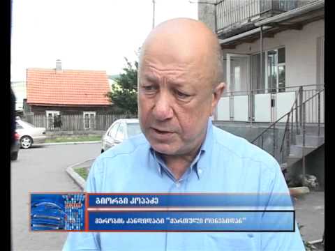 \"ქართული ოცნების\" მერობის კანდიდატი წინასაარჩევნო კამპანიას აგრძელებს