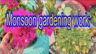 आइए देखें मैंने मॉनसून में कौन कौन से गार्डन वर्क कियेmyhomegarden monsoongarden gardenwork