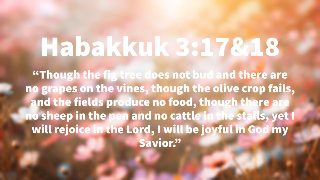 Verse by Verse Men Bible Study | Habakkuk 