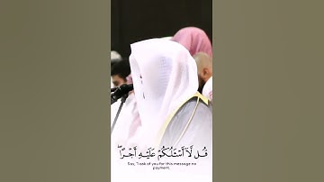 أُوْلَٰٓئِكَ ٱلَّذِينَ هَدَى ٱللَّهُ ۖ  - القارئ ياسر الدوسري
