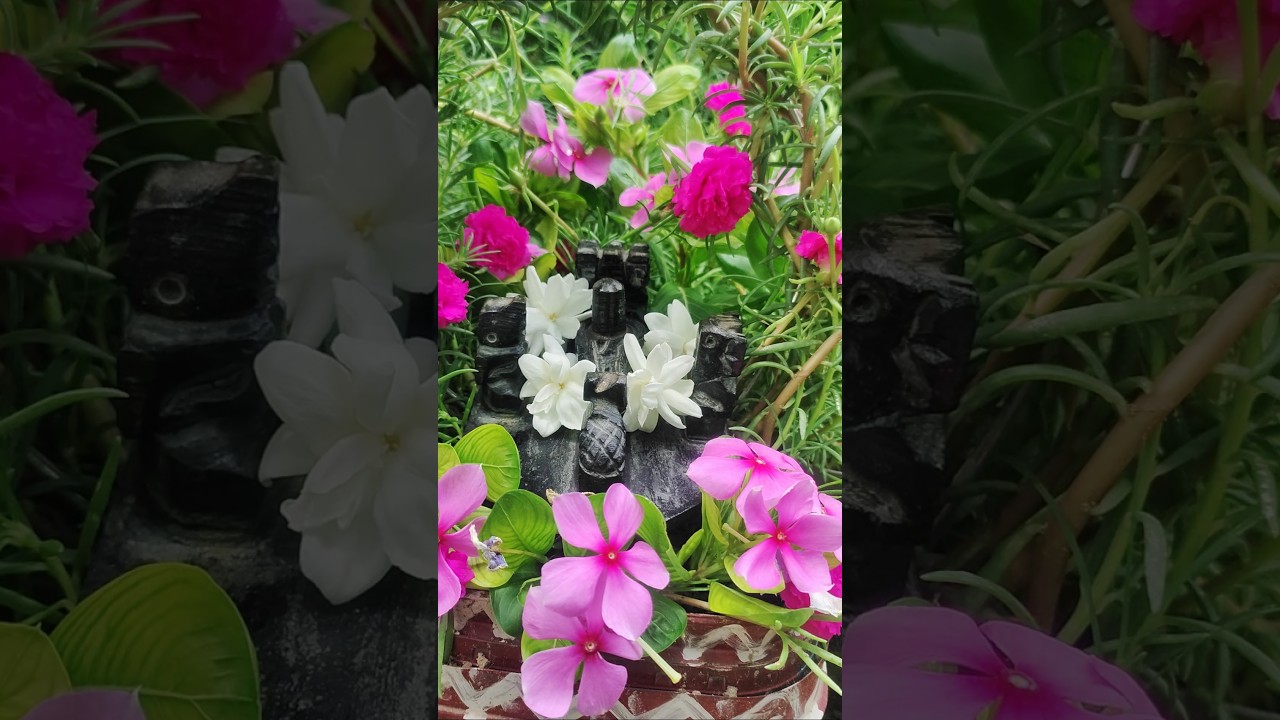 sawan special 😍 #mahadev #mahakal #whatsappstatus #gardening #ytshorts #trendingshorts