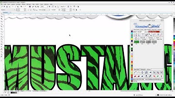 How to make a Zebra Print HTV Mock Up Design in the TRW Stone Wizard Rhinestone Software