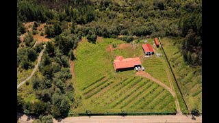 CASA QUINAMÁVIDA (VISTA AÉREA)