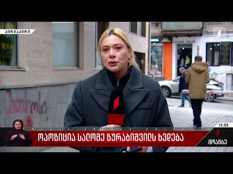 ოპოზიცია სალომე ზურაბიშვილს ხვდება