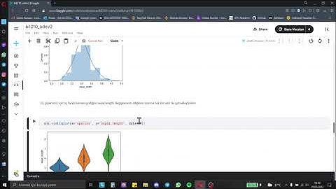 Iris Flower Dataset ile Keşifsel Veri Analizi (EDA)