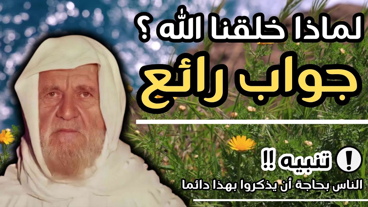 لماذا خلقنا الله ؟ جواب أكثر من رائع - الشيخ الالباني رحمه الله