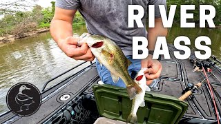 Fishing River Bass (CATCH, CLEAN, COOK)! Taste Test Largemouth vs. Spotted Bass
