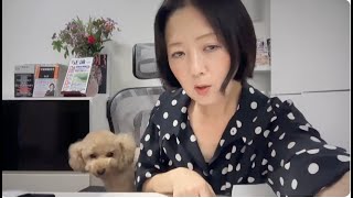 飯山あかりちゃんねるの配信のサムネイル画像
