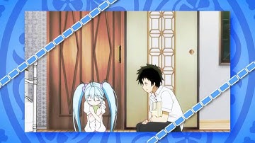 「TDS」 Peacock mep