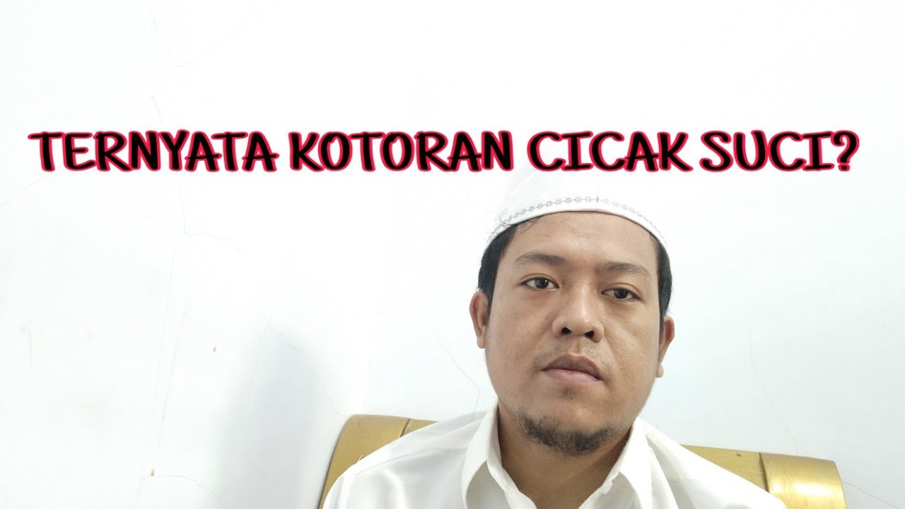 KOTORAN CICAK & KOTORAN BURUNG SUCI / NAJIS?
