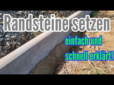 Wie Richtig Ziele setzen und erreichen. Anti-Reichtum | Vera F. BIrkenbihl #20