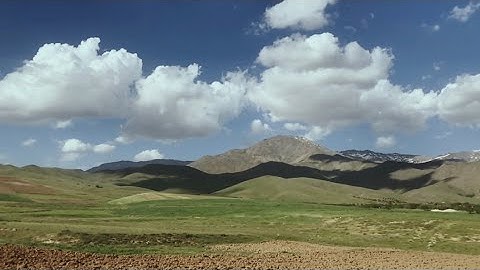 A Shared Path Forward