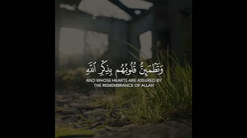 سعد الغامدي سورة الرعد 🎧😌