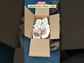 Meesho Affordable Flats Under 80₹ #shorts #youtubeshorts
