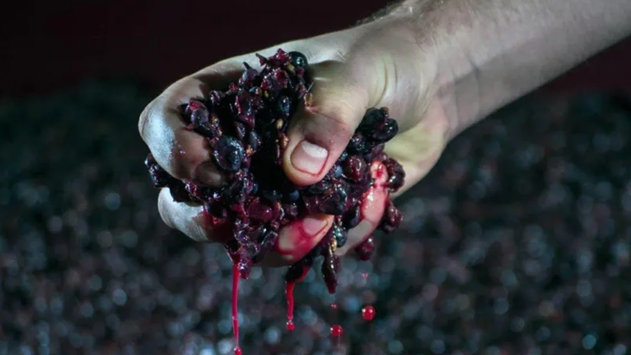 ¿Qué es el HOLLEJO?