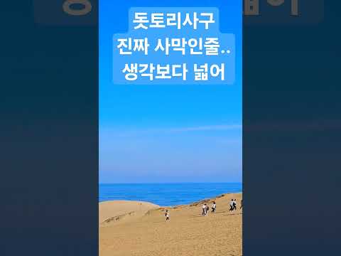 돗토리현 돗토리사구 #鳥取砂丘 생각보다 너무 커서 놀랬다 #돗토리 #요나고 #돗토리여행 #japan
