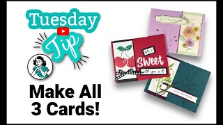 3 Thinking of You Cards You Can Make by Simply Simple Stamping | Connie Stewart 4,595 views 5 months ago 17 minutes