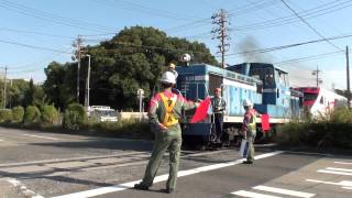 台湾鐵路管理局(TRA) TEMU2000(普悠瑪)第1編成甲種輸送 名古屋臨海鉄道走行