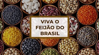 VIVA O FEIJÃO: Mercado do feijão abre junho em estabilidade.