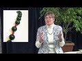 Symbiotics Benefit: Strengthening the Primary Gemstone in Gemstone Therapy Necklaces