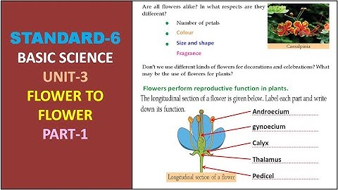CLASS - 6 | ENGLISH MEDIUM | BASIC SCIENCE | UNIT - 3 |  FLOWER TO FLOWER |  PART - 1