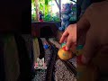 Miniature Train Crash 💥 Hits Duck | Funny Toy Train Short