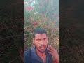 Tara Kata Bhabile Koraputiadesia ❤️song#shortsviral
