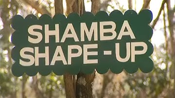 Shamba Shape Up clips - Healthy Cows
