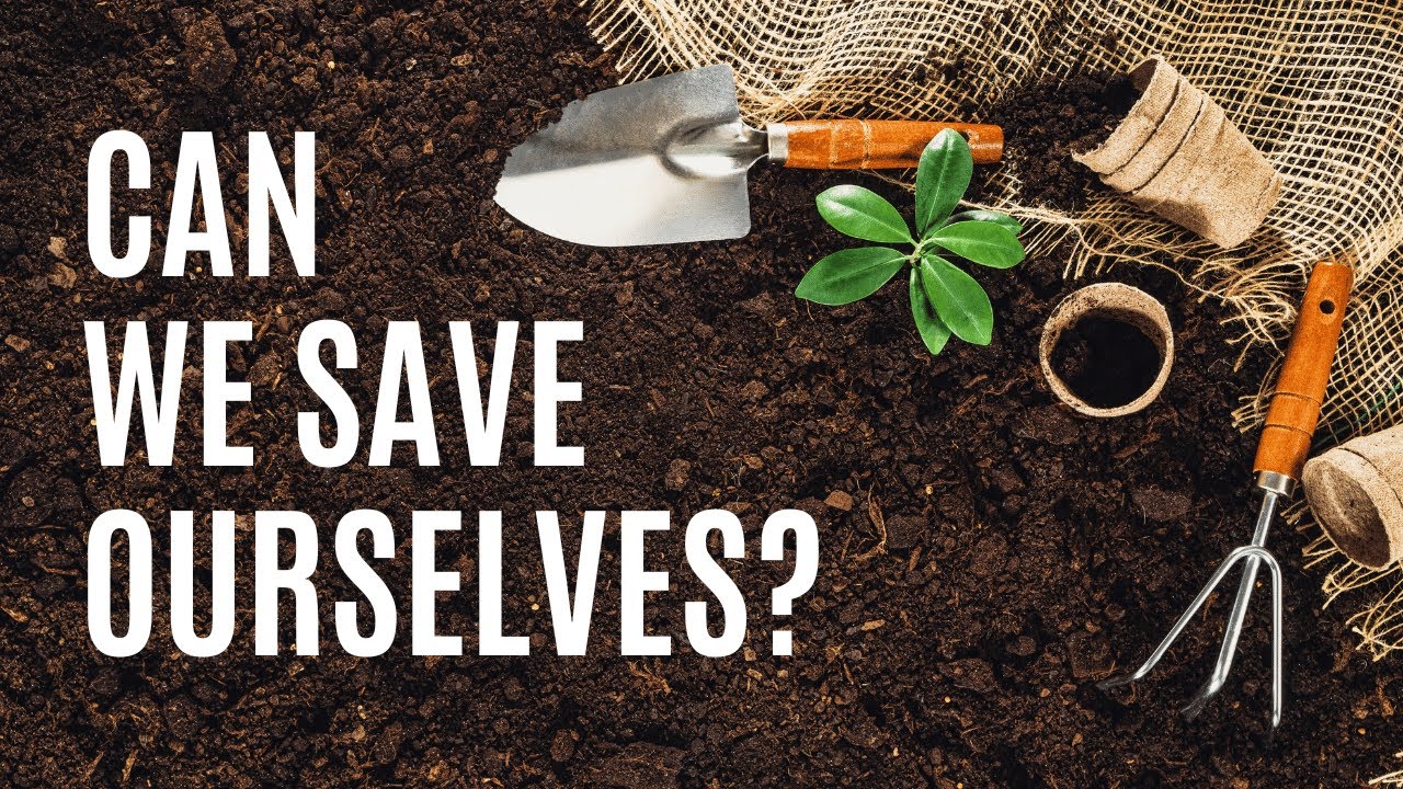 PERMACULTURE | Our shortcut to saving humanity