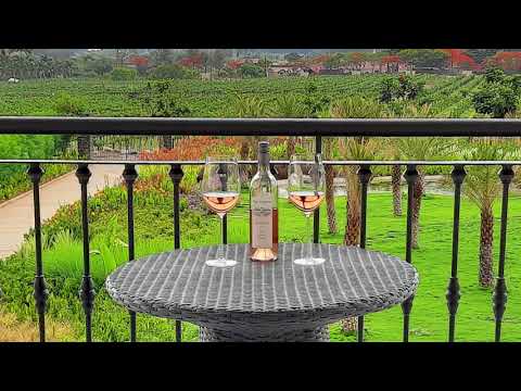 The Source at Sula, Nashik | Virtual Tour | Boutique Vineyard Hotel | Sula Vineyards