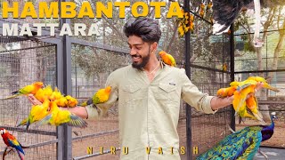 Srilanka’s Biggest Birds Park | Hambantota | Vlog-6 | Niru Vaish