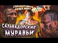 MS-13 - САМАЯ ЖЕСТОКАЯ БАНДА МИРА