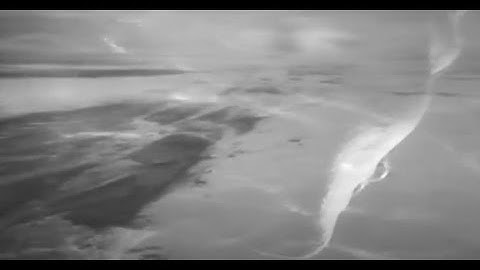 ZDBT ft. Byron the Aquarius - Running